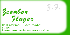 zsombor fluger business card